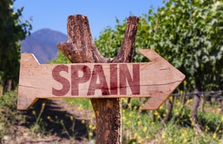 Spanish Wine Experience Spain Without a Passport